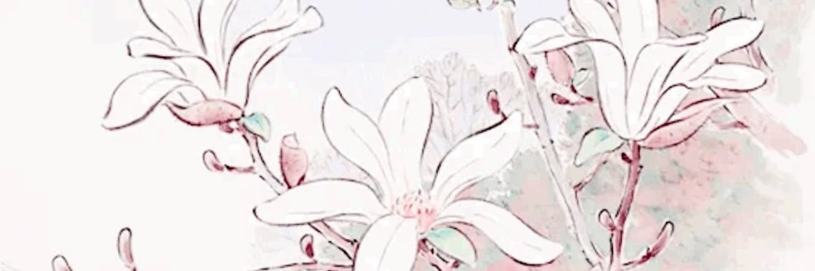 nam’s ♡'s banner