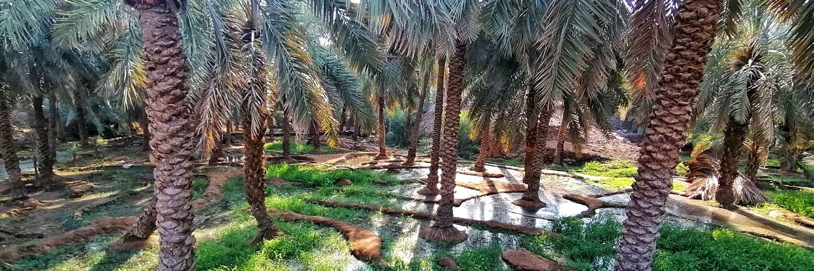 هاني الصبحي 📸's banner