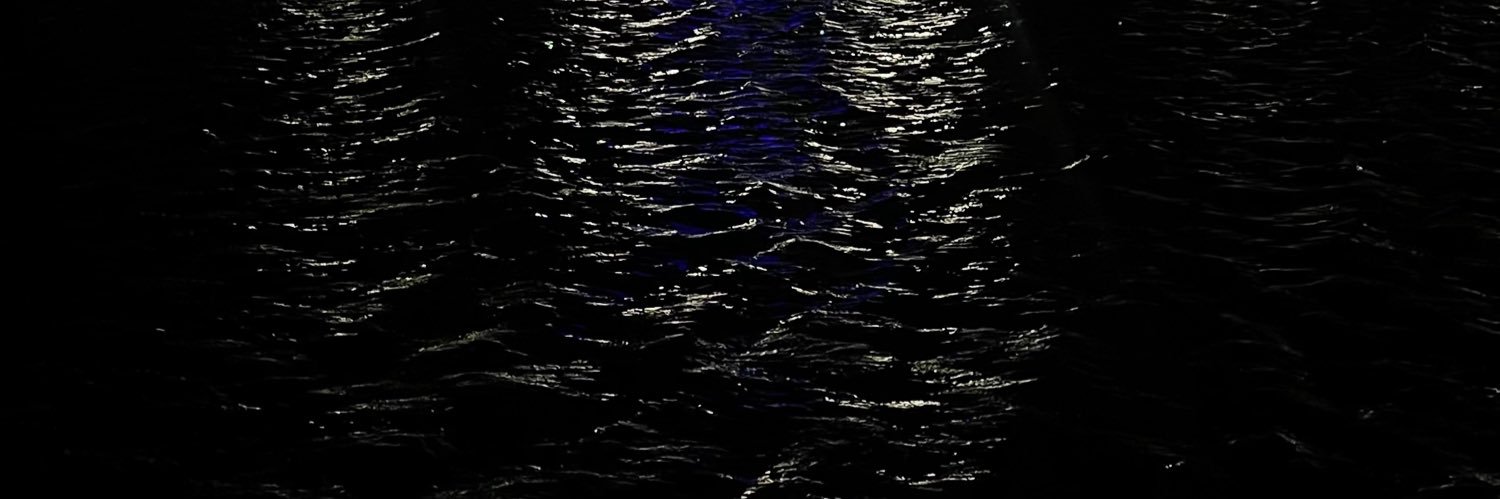 L.'s banner