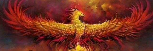 Black Hawk's banner