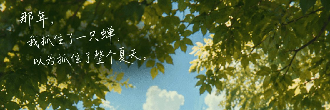 杨机贵's banner