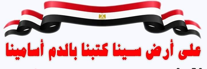 Essam 𓊨𓐟𓅓𓀀's banner