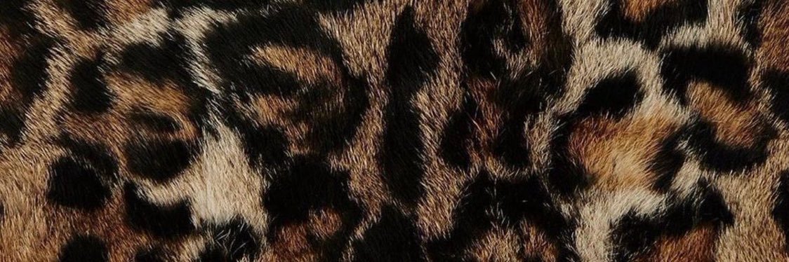 ‎phatbutt's banner