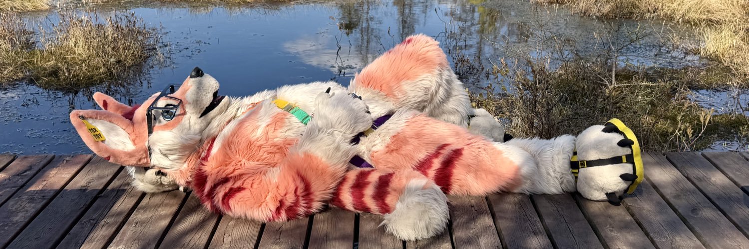 Muzo Fox's banner