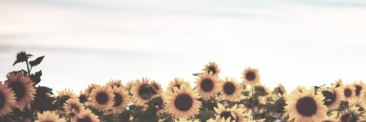 小兔几波波's banner