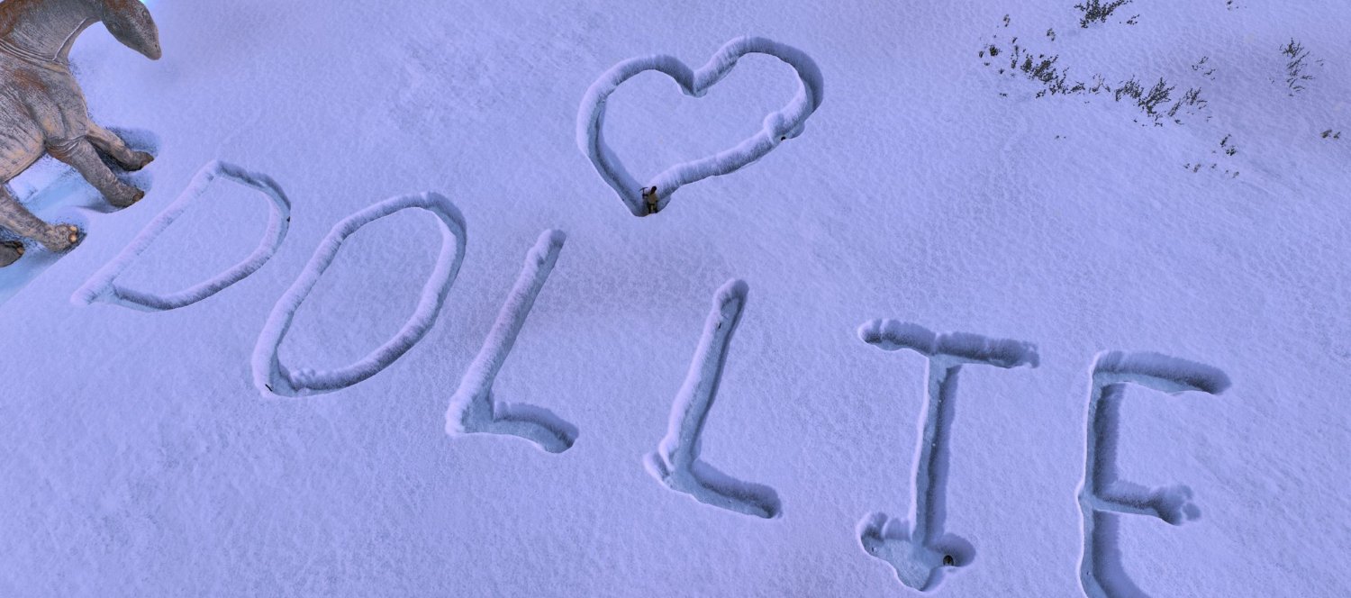 Dollie's banner