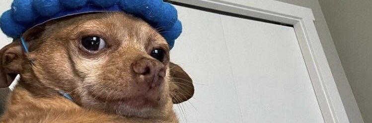 🌟's banner