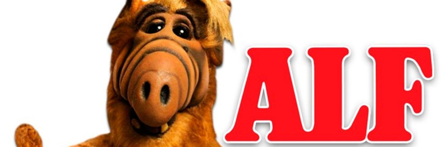 Alf (nieto de seba) con formación en socioanalisis's banner