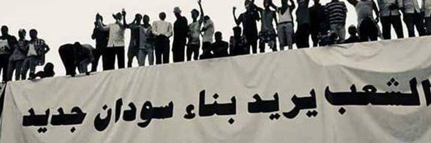 Selma Nour's banner