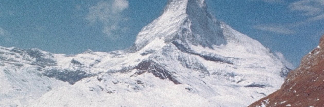 najwa's banner