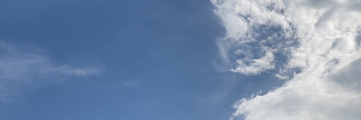 BB's banner