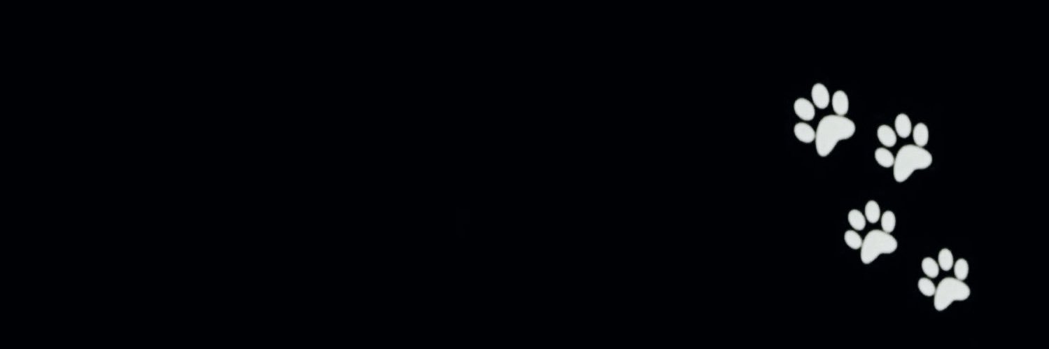 jackie 击̸'s banner