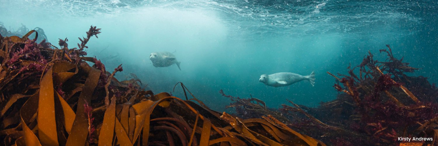 Marine Conservation Society's banner