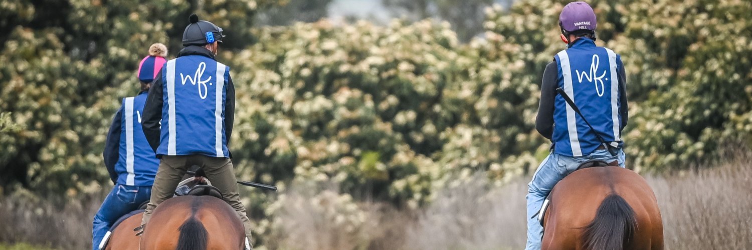 Will Freedman's banner