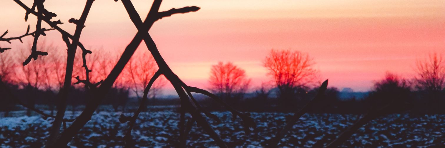 Члан библиотеке's banner