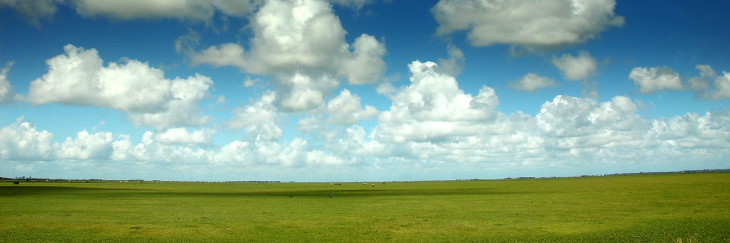 Rafael T. Leal's banner