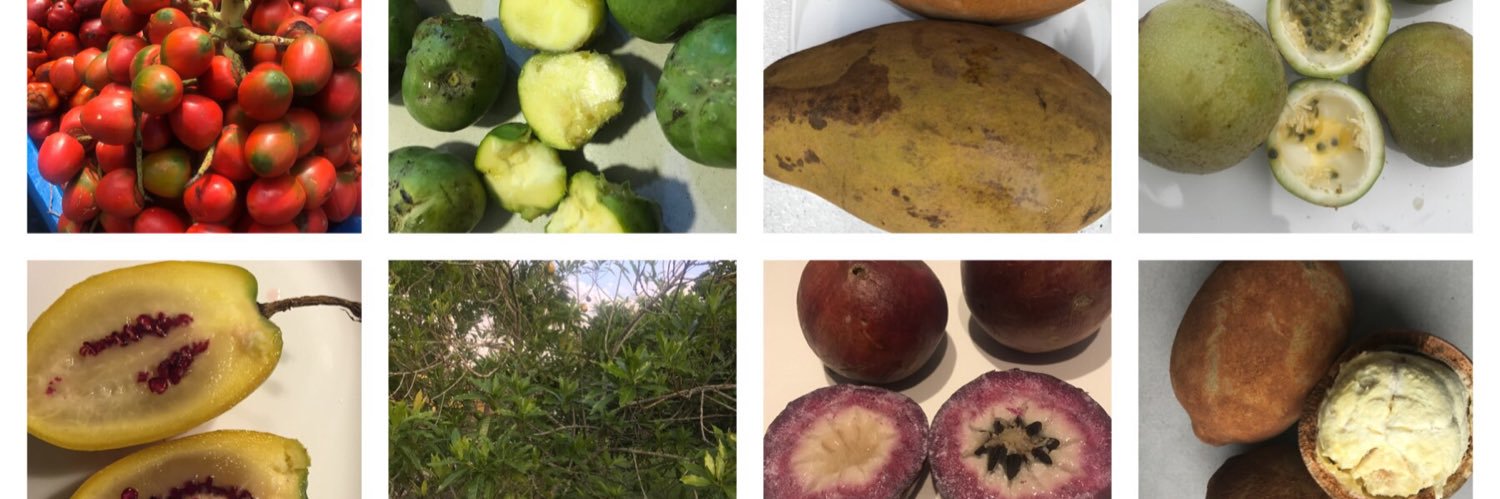 Frutas de Colombia's banner