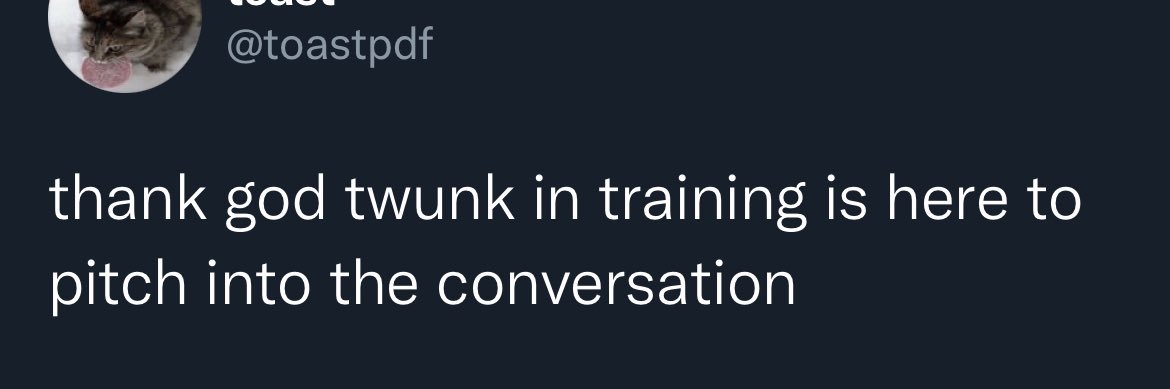 Twunk in Training 🇵🇸's banner
