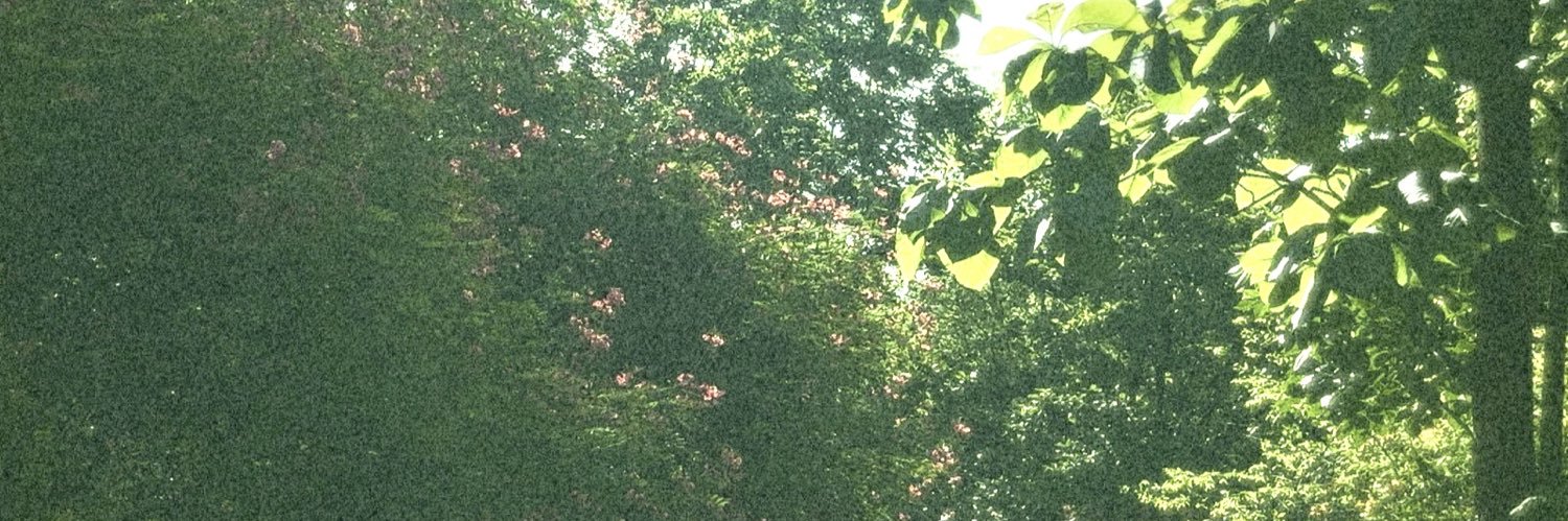 idyllicgurl⋆. 𐙚 ˚'s banner