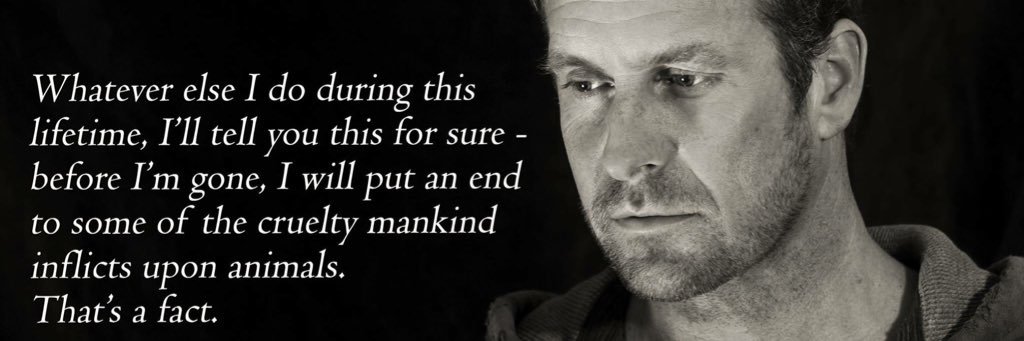 Dan Richardson's banner
