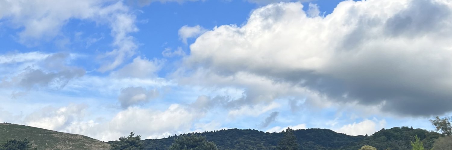 MMDW's banner