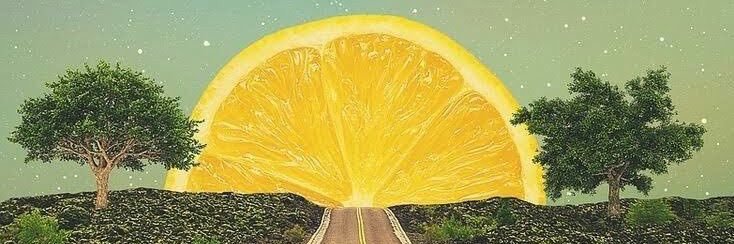 ❀ ฮินะตะ æ สองหนิง 𐙚 🍋✨'s banner