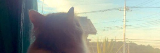 █████████ahmsadD.'s banner