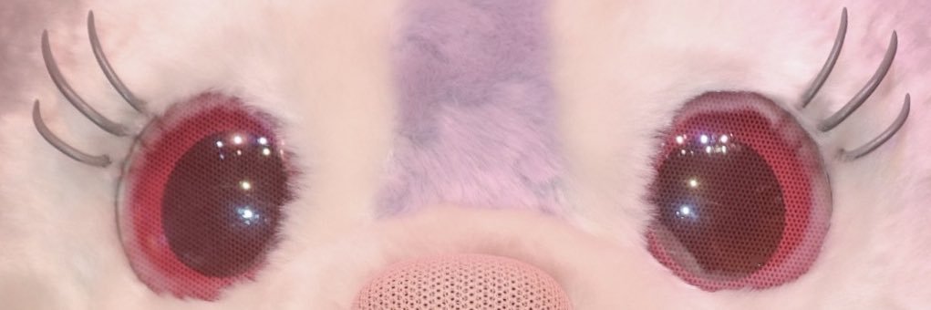 🎀ステラ・ヌー🐰🩰🎀's banner