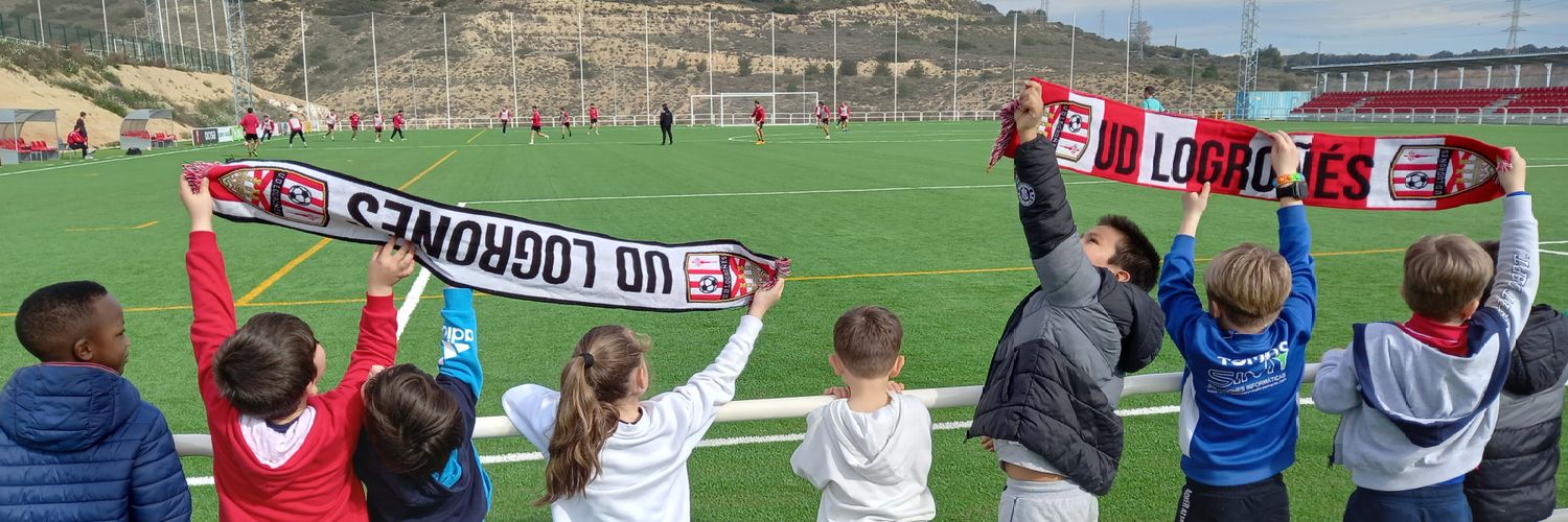 UD Logroñés's banner