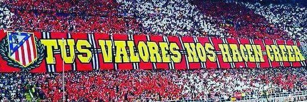 Parte Medico's banner