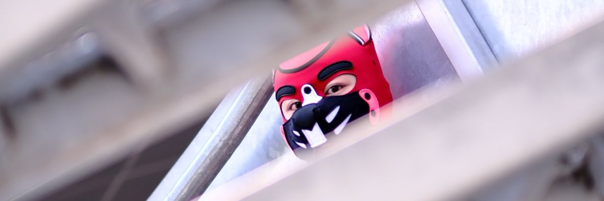 小辰It's me.'s banner