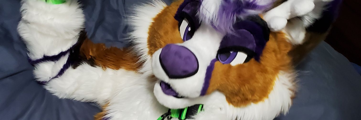 Epsole the Moon Folfsky's banner