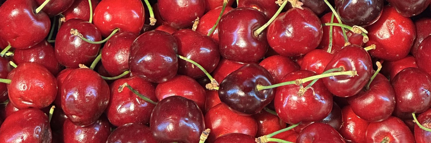 𝒜𝓁𝒾𝓏𝑒́𝑒 🍒's banner