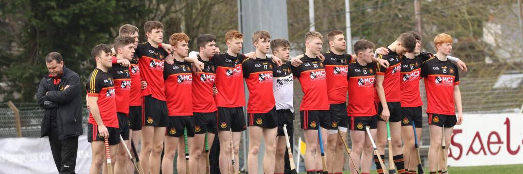 CBC Cork Hurling's banner