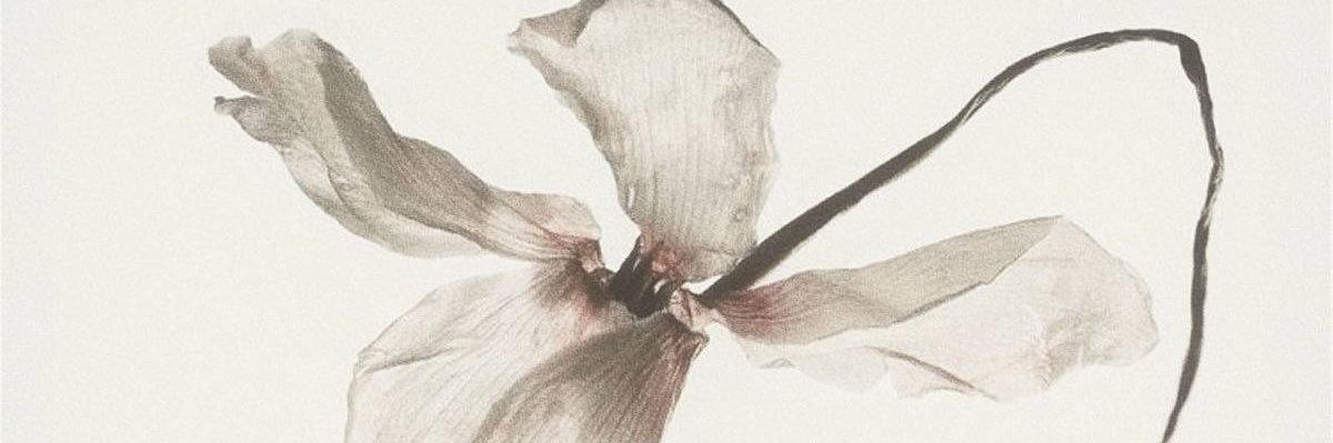 bee's banner