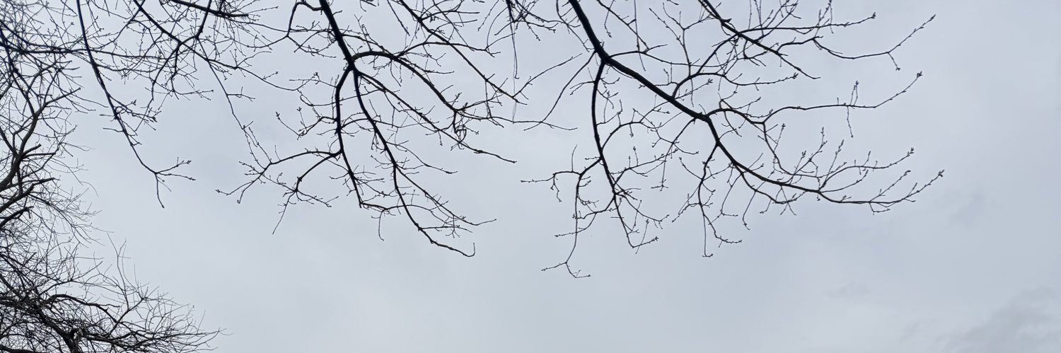 theahmet's banner