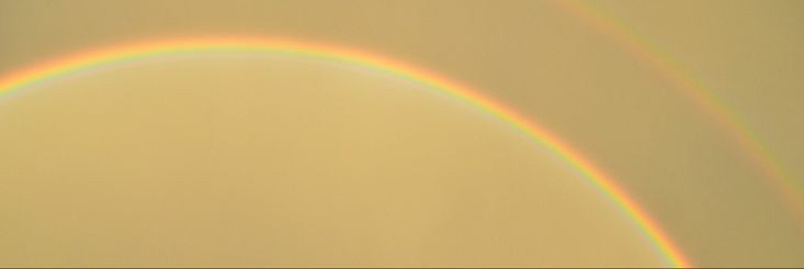𝑴𝒊𝒄𝒉𝒆𝒍𝒍𝒆 🌻's banner