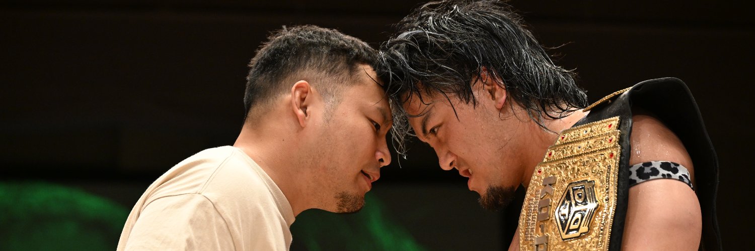 DDT ProWrestling's banner