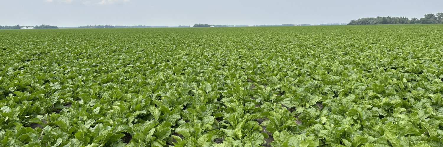 🇺🇸Gauche Farmer©️'s banner