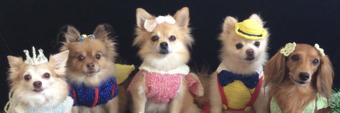 りりバイオレット's banner