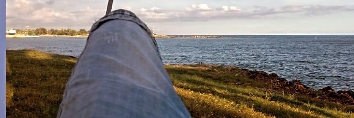 El_Cofla's banner