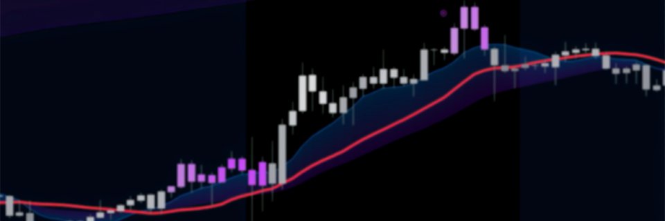 Steven J. Campbell | NQ's banner