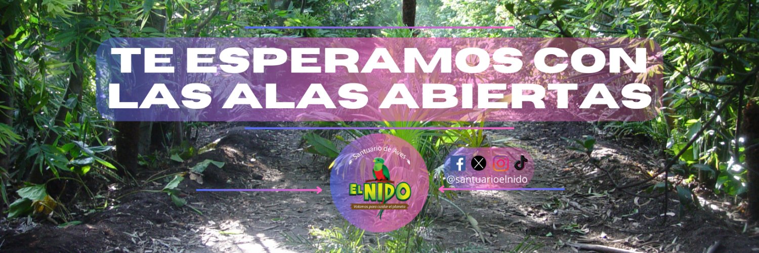 Santuario El Nido's banner