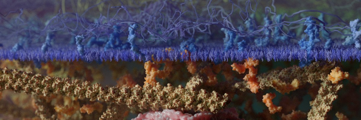Ribosome Studio's banner