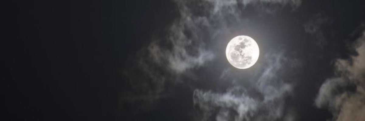 🎀's banner