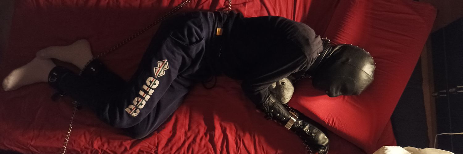Dado 🐶's banner