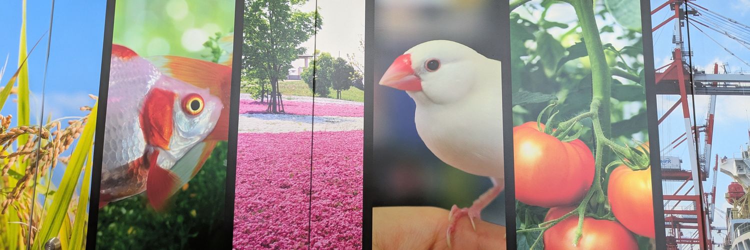 アトリエやとみ文鳥YAE's banner