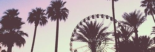señorita🧚‍♀️'s banner