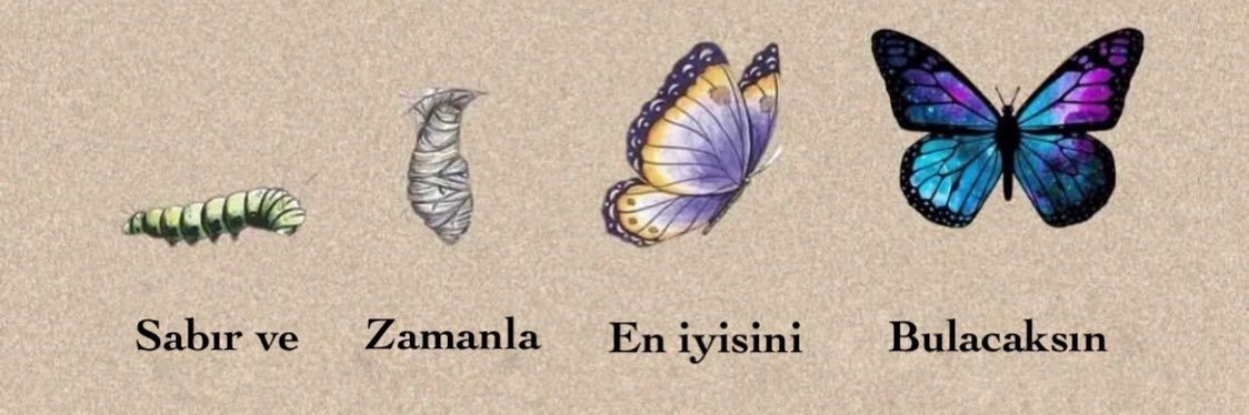 Fatma 🦋💛❤️'s banner