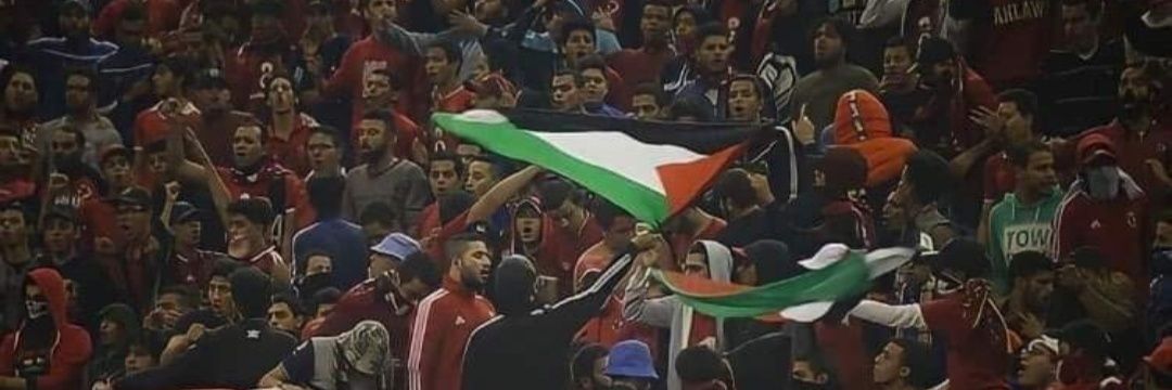شہد🇵🇸's banner